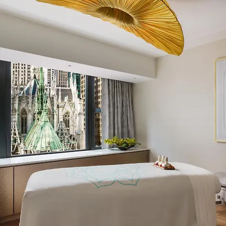 Lotte New York Palace-3